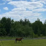 Gosp. Agroturystyczne Stary Gaj