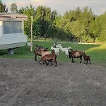 別荘 Gosp. Agroturystyczne Stary Gaj Zerkowice