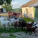 Gosp. Agroturystyczne Stary Gaj