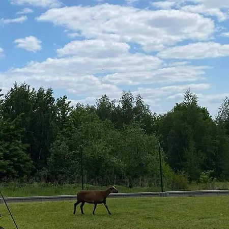 Gosp. Agroturystyczne Stary Gaj