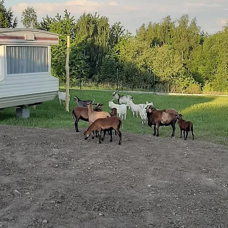 Prázdninový dům Gosp. Agroturystyczne Stary Gaj Zerkowice