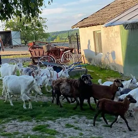 Gosp. Agroturystyczne Stary Gaj