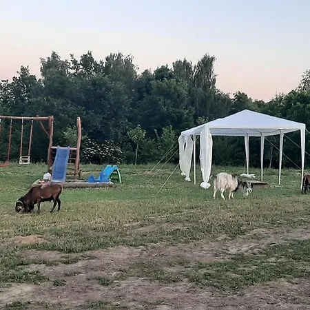 Gosp. Agroturystyczne Stary Gaj * Zerkowice