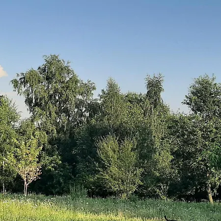 Gosp. Agroturystyczne Stary Gaj *