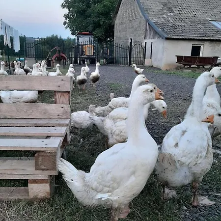 Dom wakacyjny Gosp. Agroturystyczne Stary Gaj *
