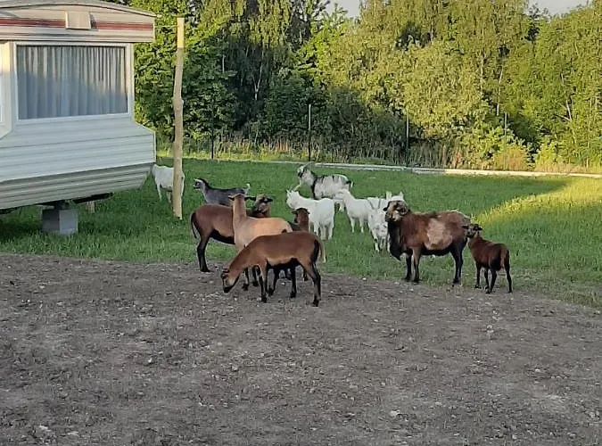 بيت للعطل Gosp. Agroturystyczne Stary Gaj Zerkowice