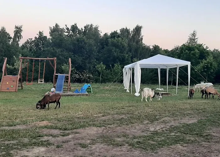 Gosp. Agroturystyczne Stary Gaj * Zerkowice