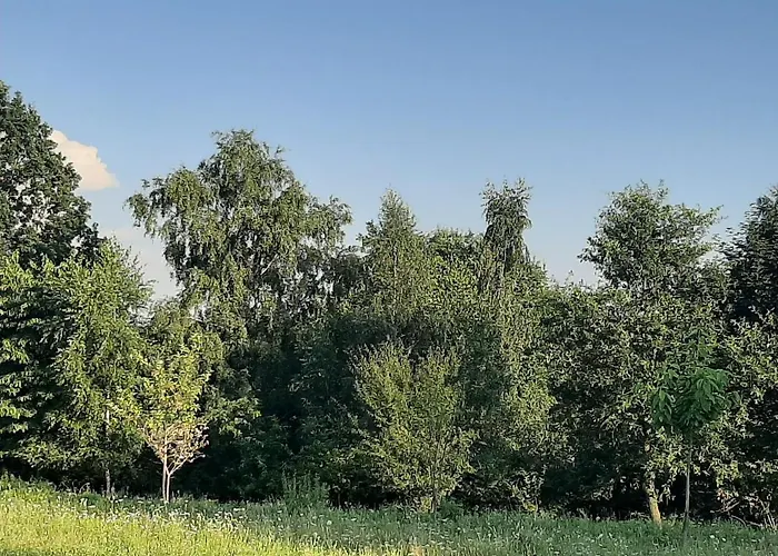 Gosp. Agroturystyczne Stary Gaj *